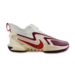 Nike Cosmic Unity 2 Sports krepšinio bateliai