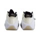 Nike Air Zoom Flight 95 Beige krepšinio bateliai - DX5505-100