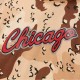 Mitchell & Ness NBA Chicago Bulls Camo Reflective džemperis su gobtuvu